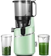 GEANT EXTRATEUR DE JUS A HAUTE VITESSE ET PRESSION